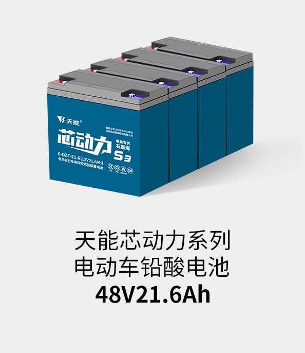 彩乐园电池48v20ah