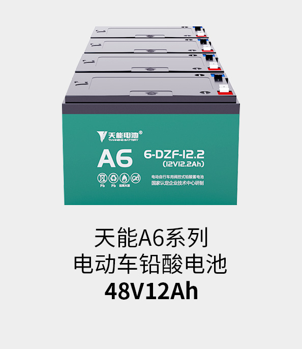 彩乐园电池48v12ah