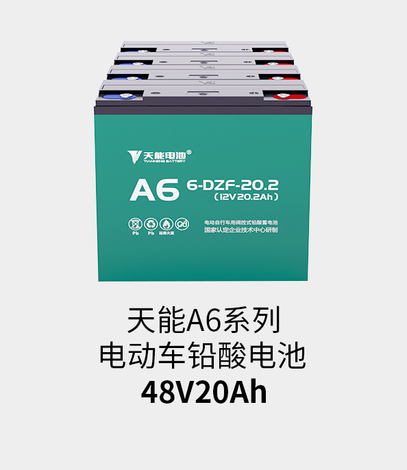 彩乐园电池48v20ah