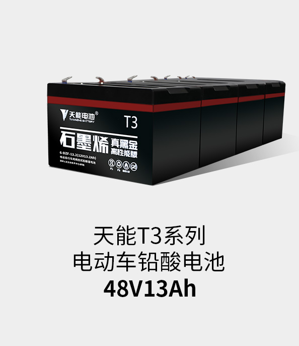 彩乐园T3系列48v13ah