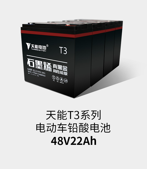 彩乐园T3系列48v22ah