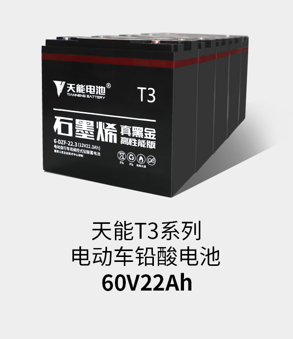 彩乐园T3系列60v22ah