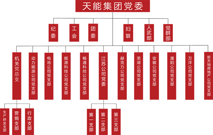 彩乐园建团党委组织架构