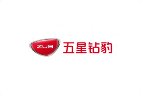 彩乐园电池合作伙伴 五星钻豹电动车